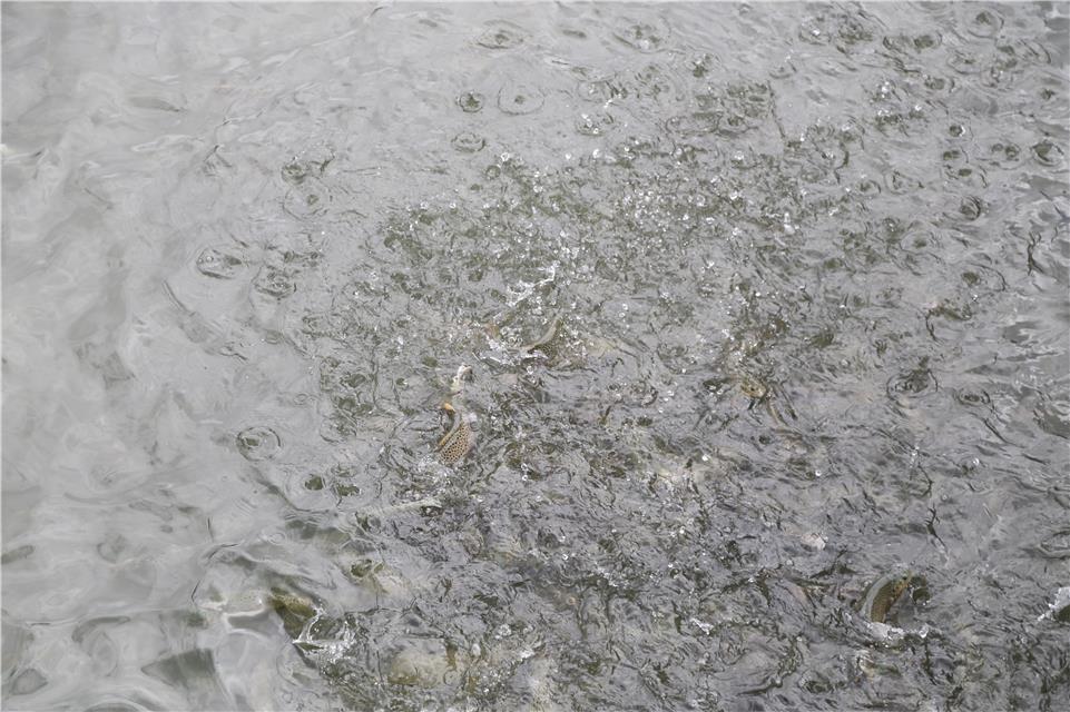 1600222800435141.jpg 1600222800435141.jpg